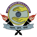 SANT NIRANKARI GIRLS SR SEC SCHOOL